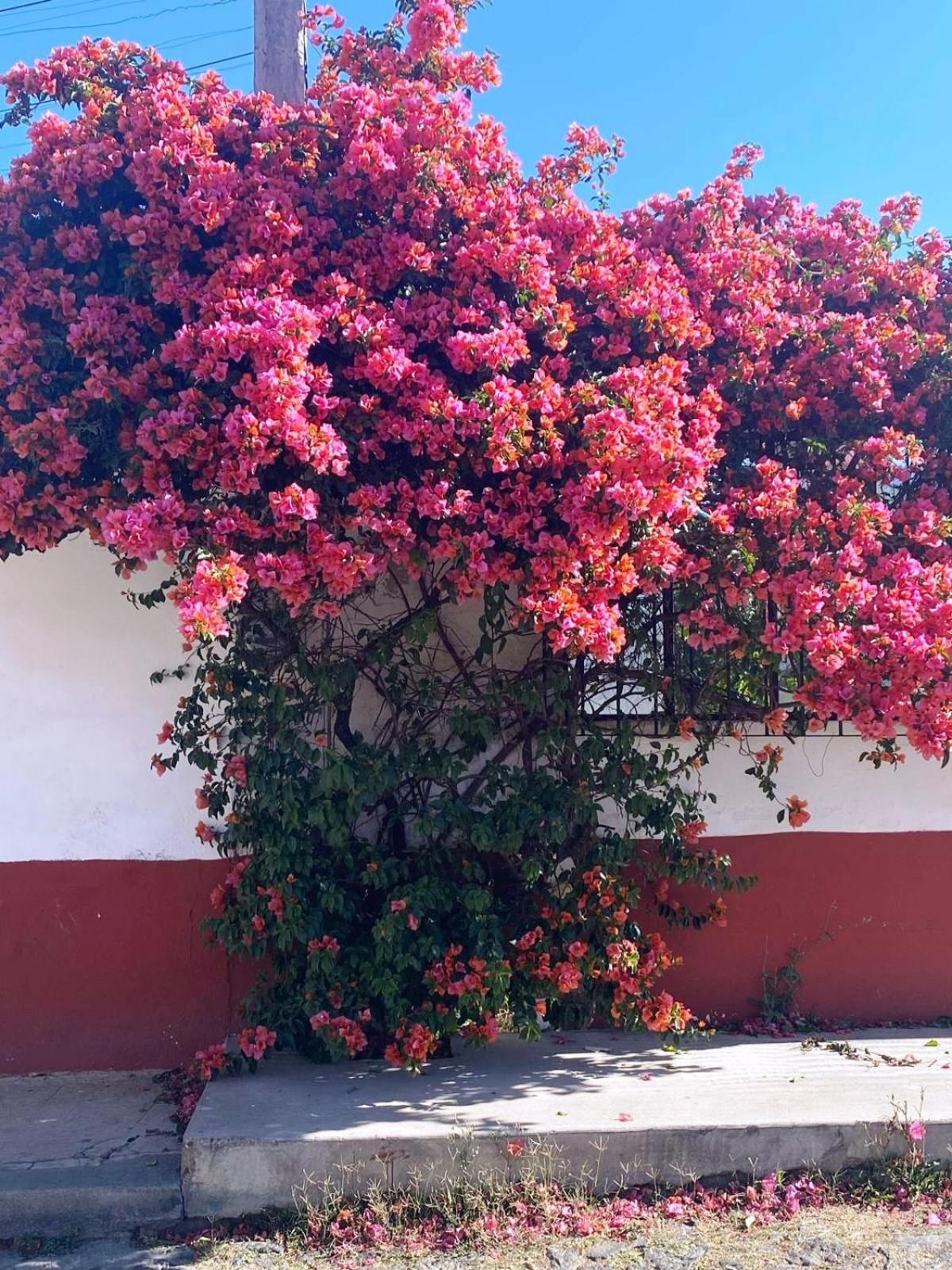 Hotel Posada Camelinas Pátzcuaro Kültér fotó